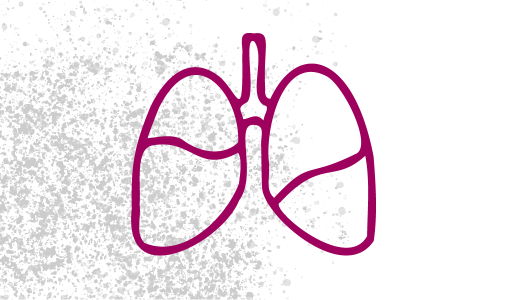 Fisioterapia rehabilitación respiratoria EPOC