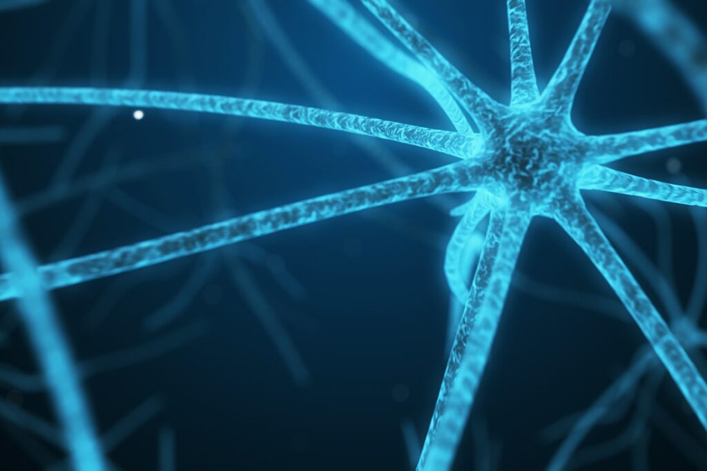 La Esclerosis Múltiple necesita de un tratamiento neurorrehabilitador